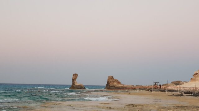 Google Photo 7