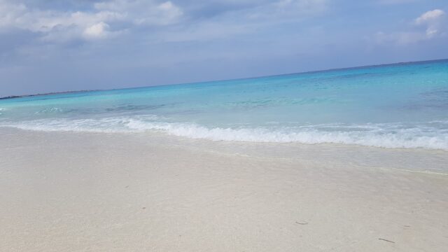Google Photo 2