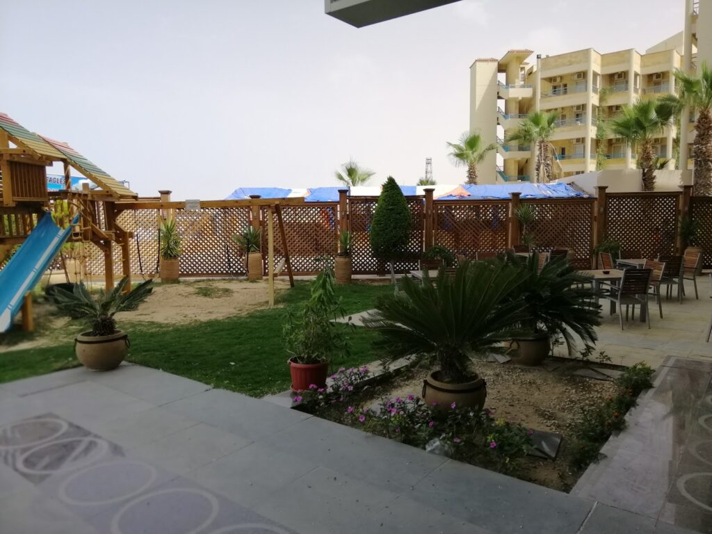 Google Photo 8