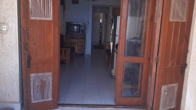 Google Photo 7