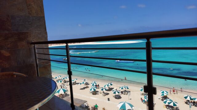 Google Photo 3