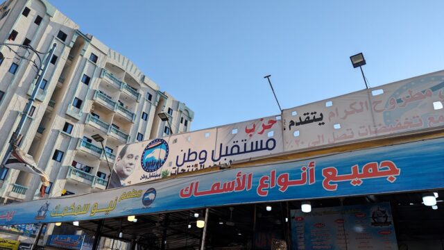 Google Photo 7