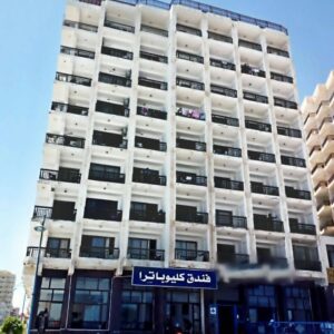 الصورة 1