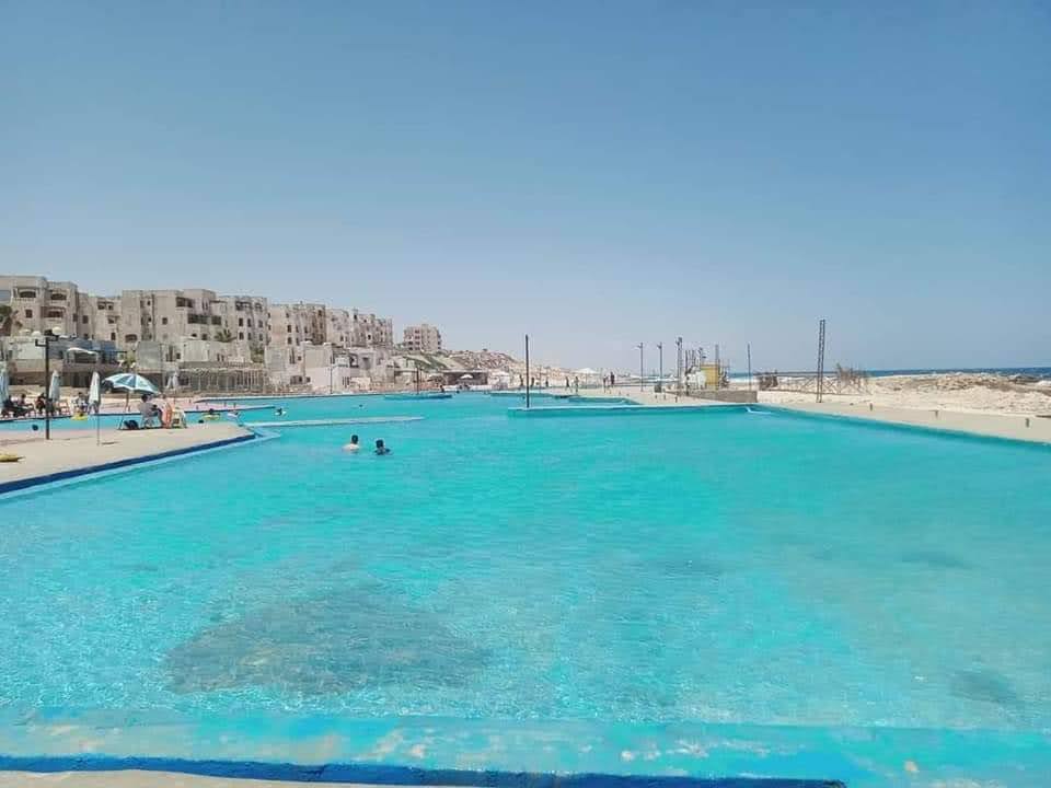 Google Photo 2