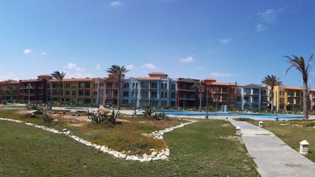 Google Photo 5