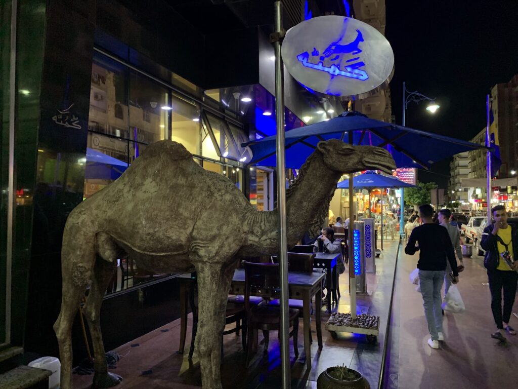 Google Photo 9
