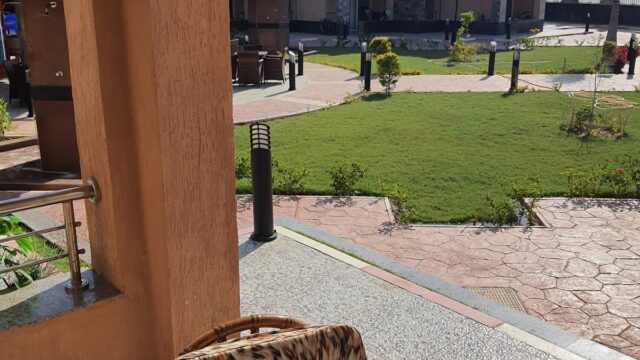 Google Photo 9