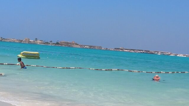 Google Photo 8