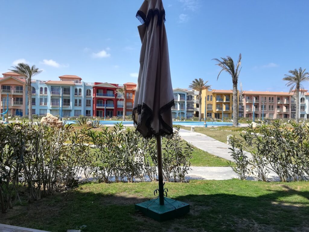 Google Photo 6
