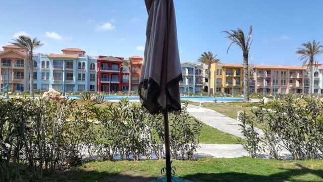 Google Photo 6