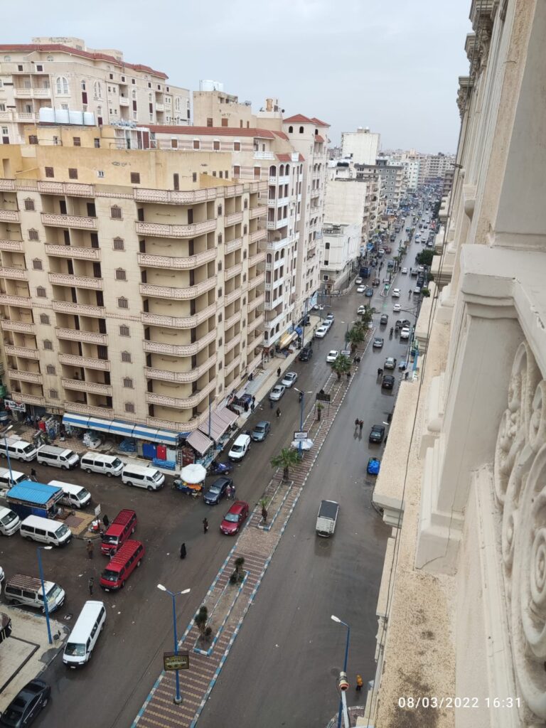Google Photo 5