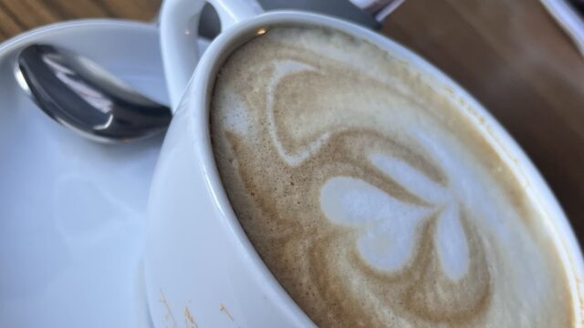 Google Photo 7