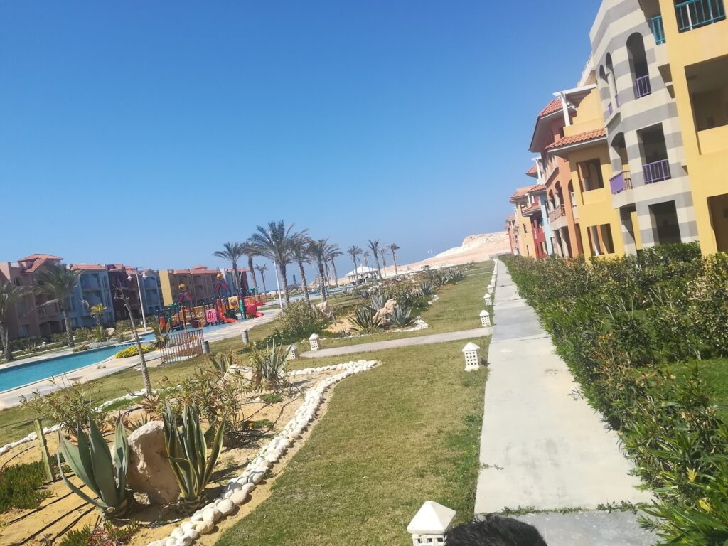 Google Photo 4
