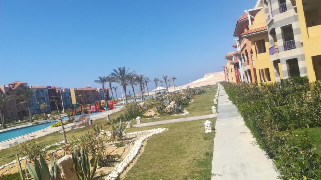 Google Photo 4