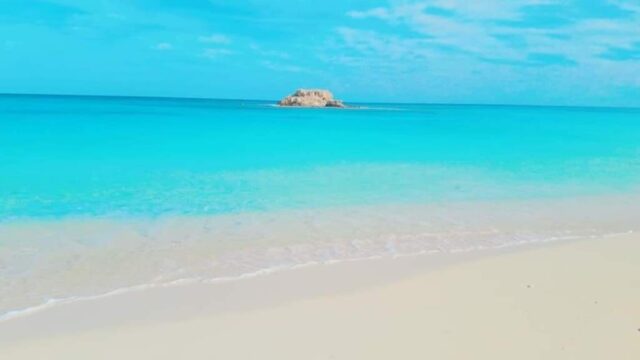 Google Photo 2