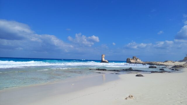 Google Photo 6
