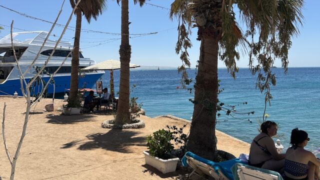 Google Photo 3