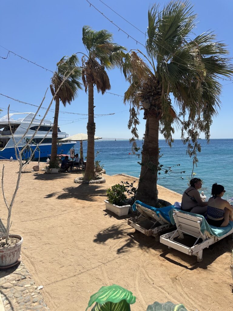 Google Photo 3
