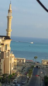 الصورة 5