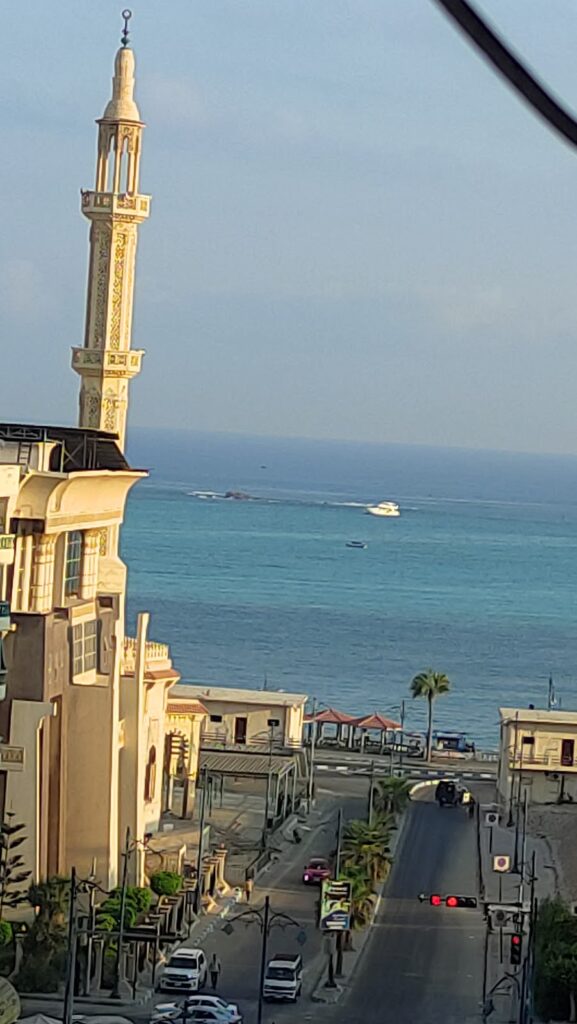 Google Photo 5
