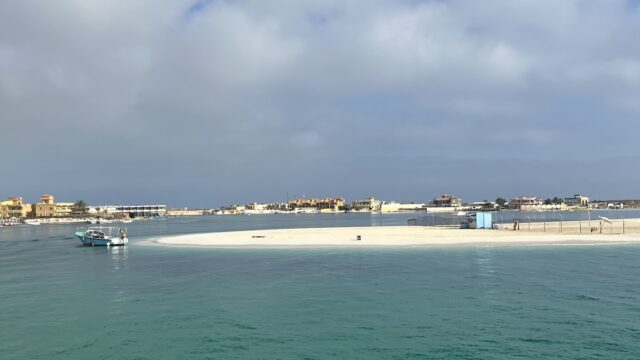 Google Photo 6