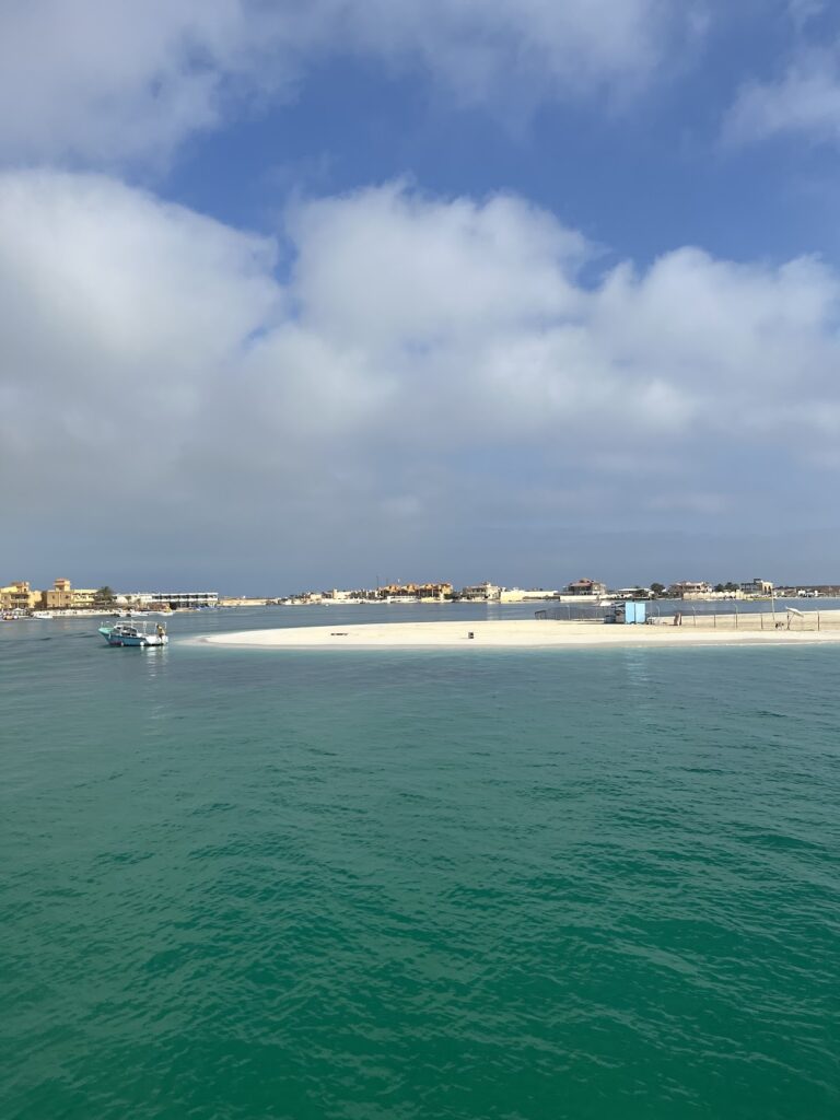 Google Photo 6