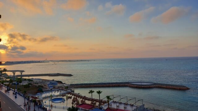 Google Photo 7