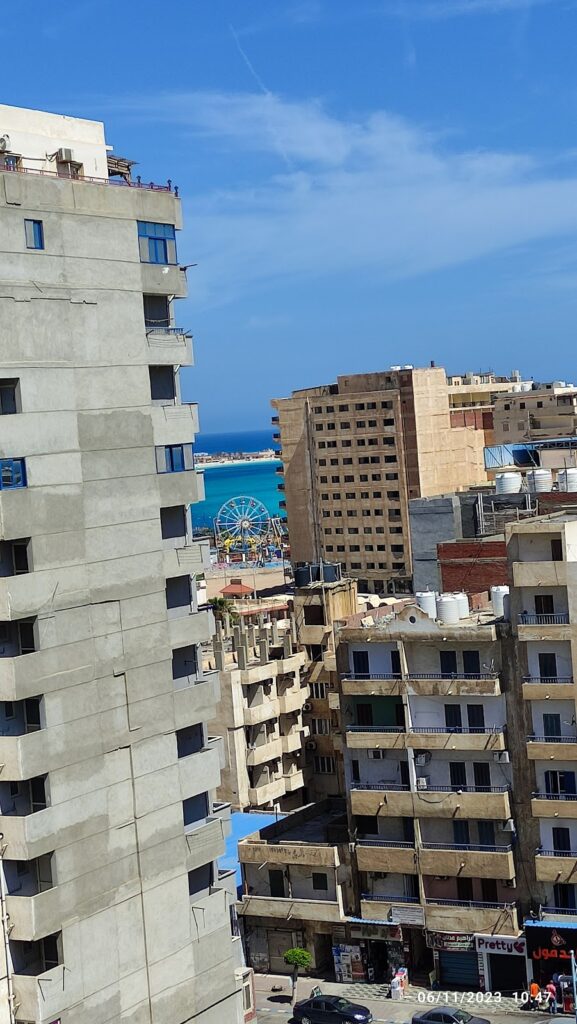 Google Photo 2
