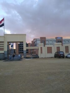 الصورة 8