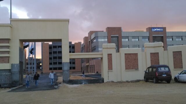 Google Photo 8