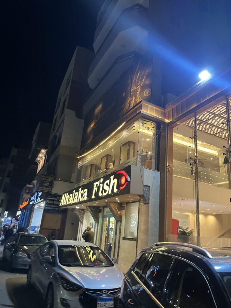 Google Photo 8