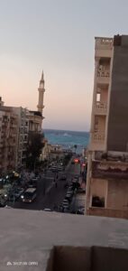 الصورة 7