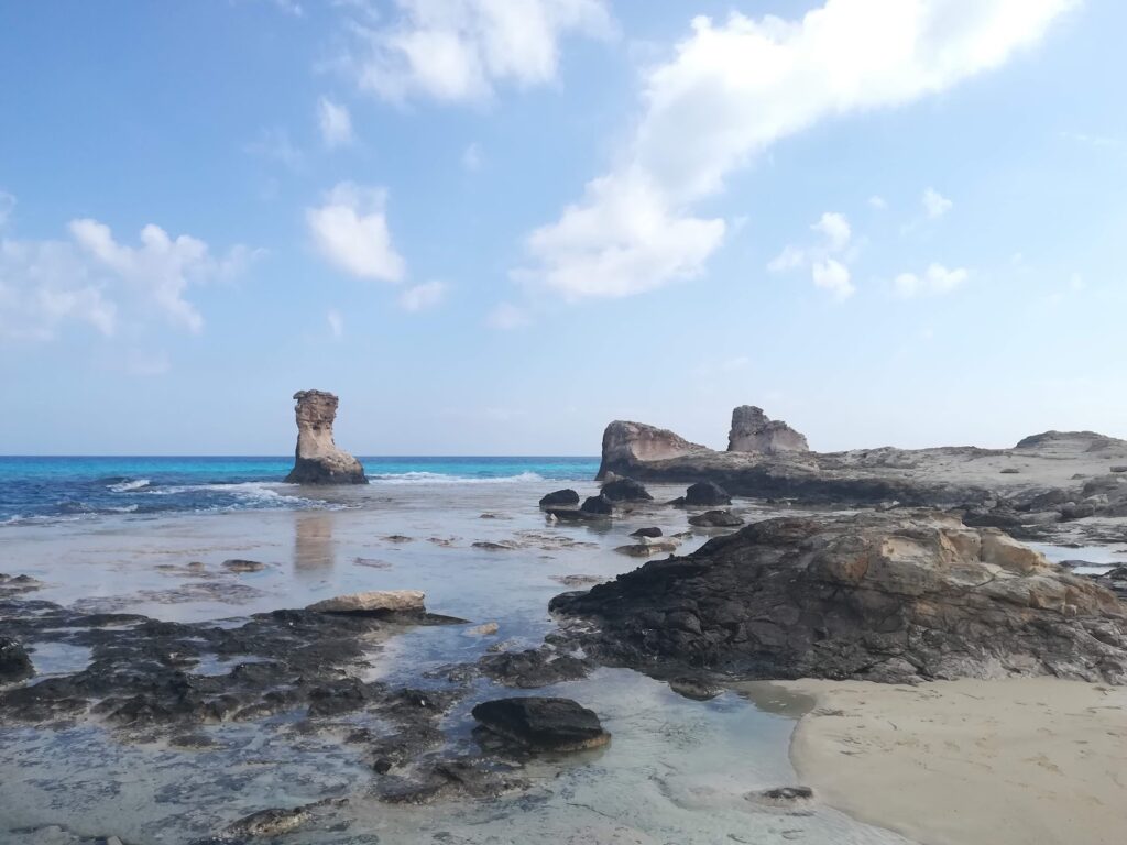 Google Photo 9