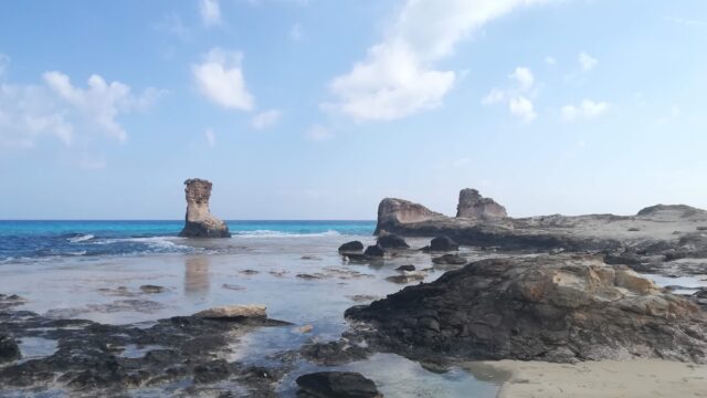 Google Photo 9