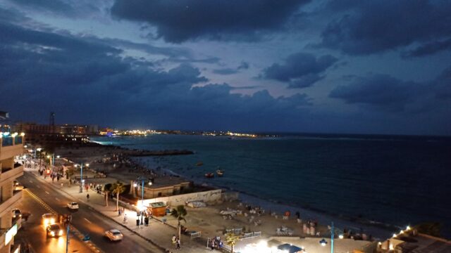 Google Photo 7