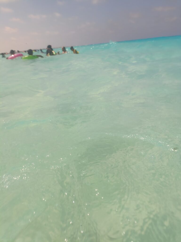 Google Photo 6