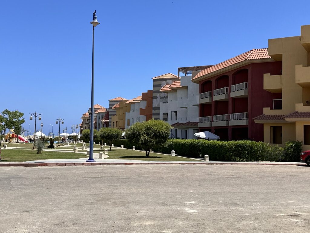 Google Photo 3