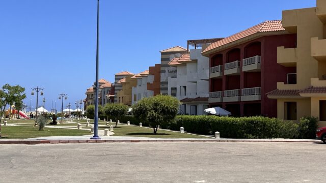 Google Photo 3