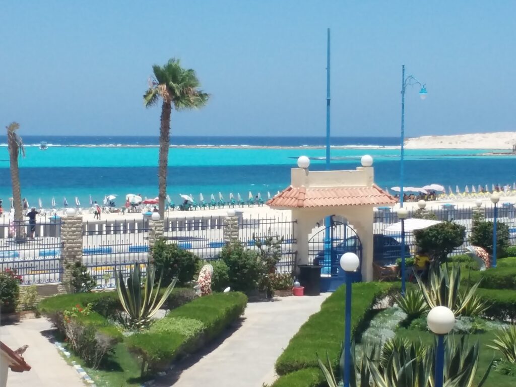 Google Photo 6
