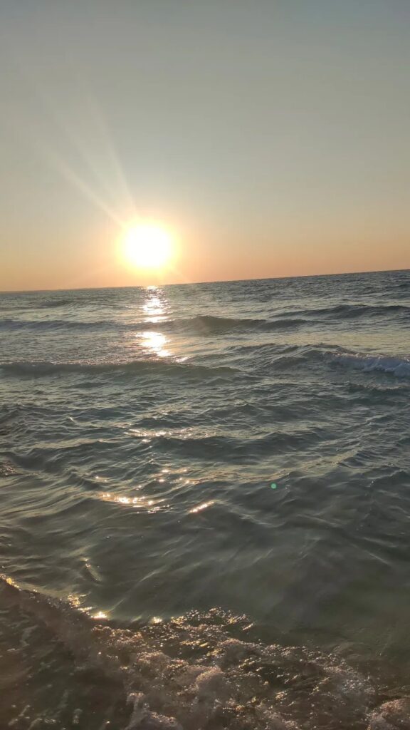 Google Photo 3