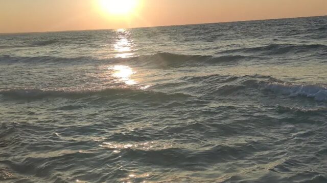 Google Photo 3