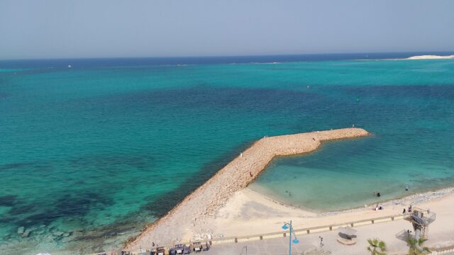Google Photo 3