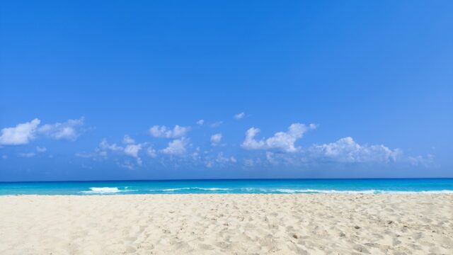 Google Photo 9