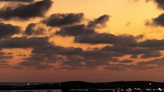 Google Photo 7
