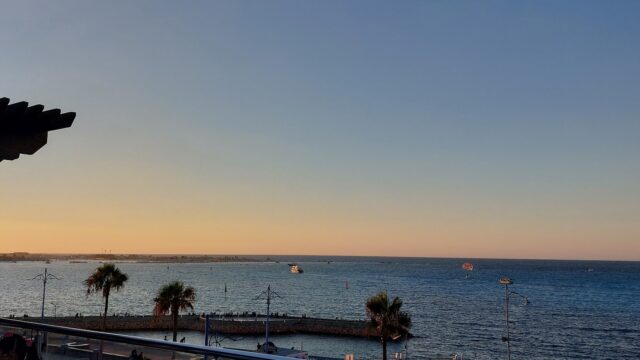 Google Photo 7