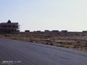 الصورة 3