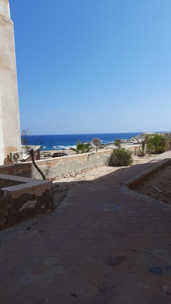 Google Photo 9