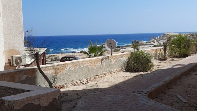 Google Photo 9