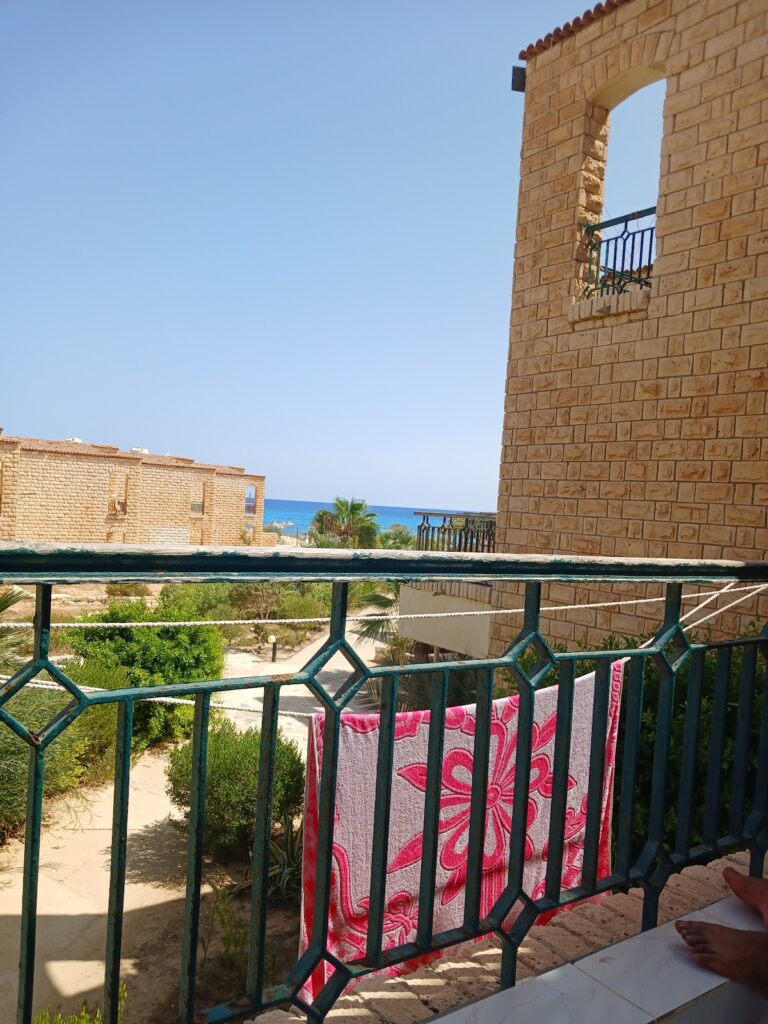 Google Photo 3