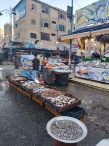 الصورة 6